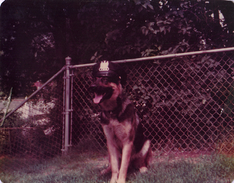 KSCN0119 72i