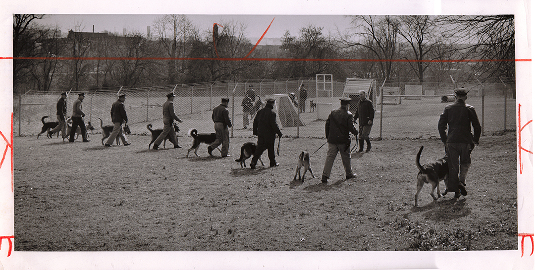 1959 K9 Unit72