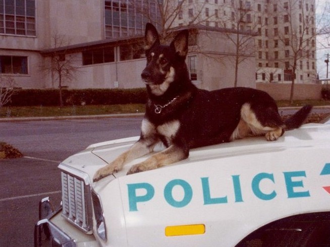K9 officer004
