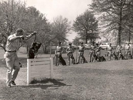 Off Stickline training K9