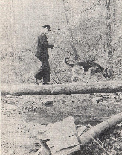 k9 6