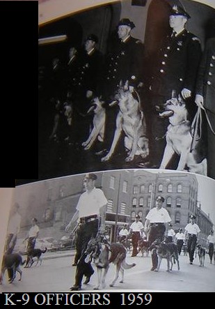 k9parade